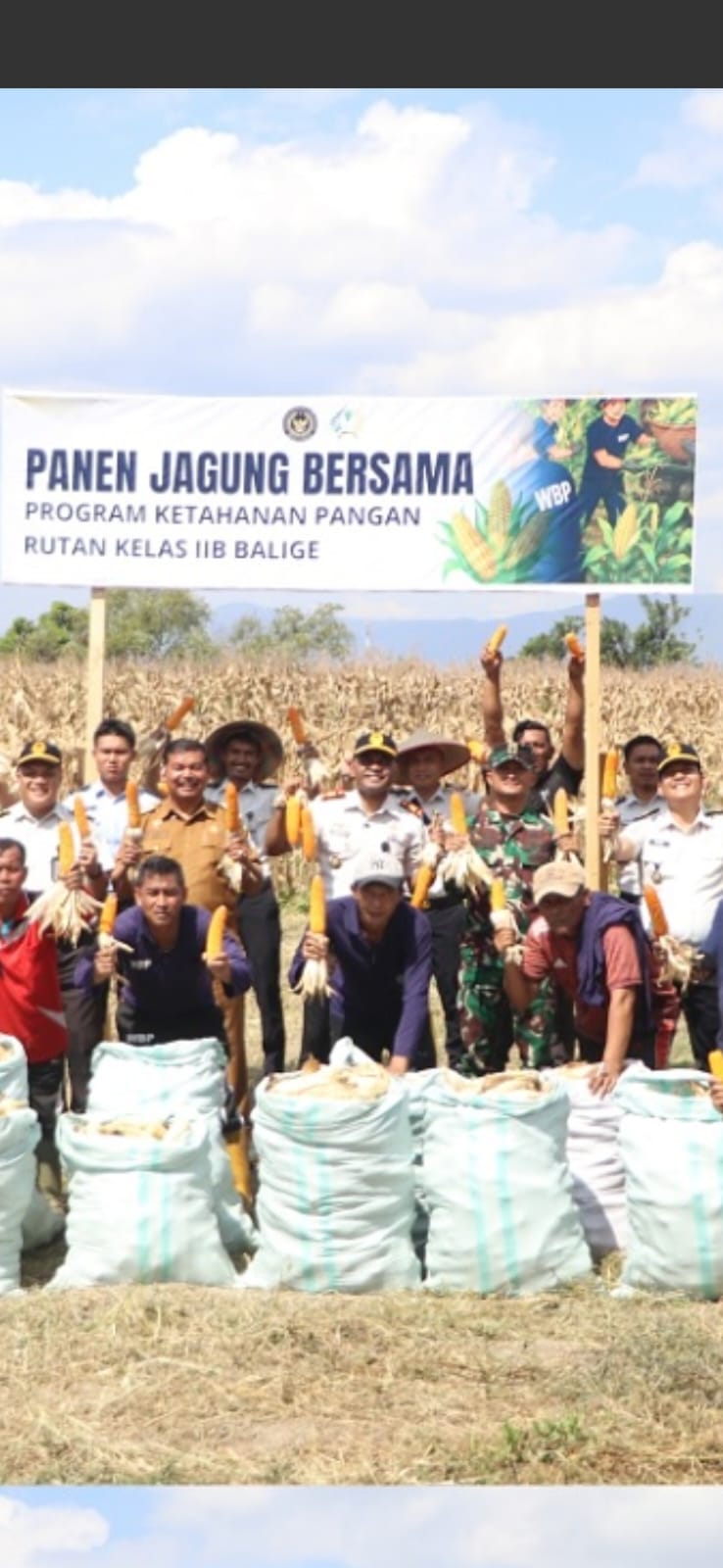 Rutan Kelas llB Balige Gelar Panen Raya Jagung Bersama Pemerintah Desa dan Masyarakat
