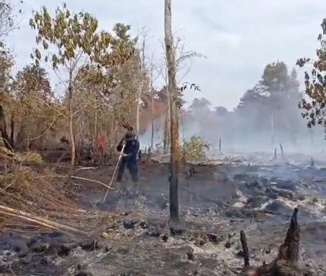 Tanggapi Laporan Masyarakat, Brimob Polda Kalteng dan Satgas Aman Nusa II Sigap Padamkan Karhutla di Km 16 Tjilik Riwut