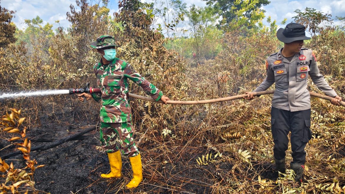 Tim Siaga Karhutla Kodim 1016/Plk Bergerak Cepat Padamkan Api