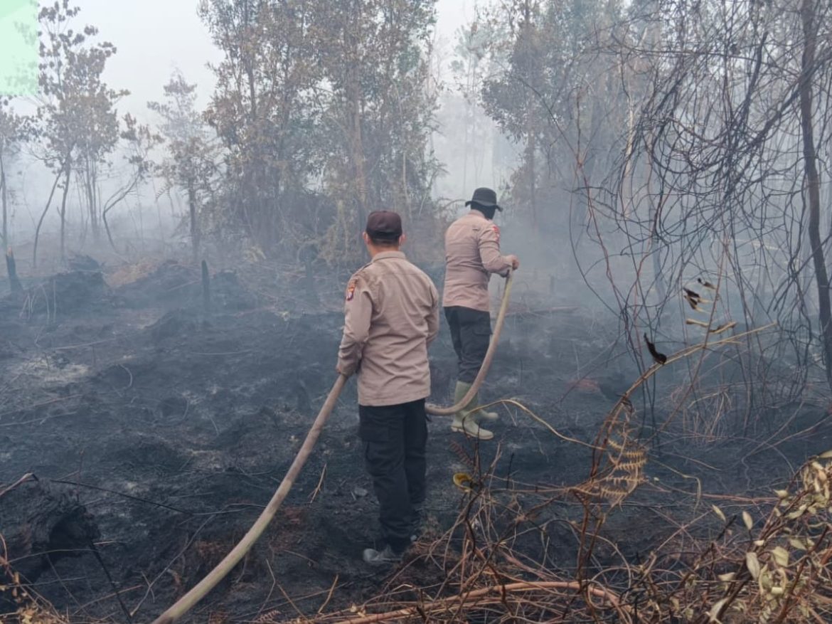 Satgas Aman Nusa II Polresta Palangka Raya Lakukan Pemadaman Lanjutan Karhutla di Kawasan Hiu Putih