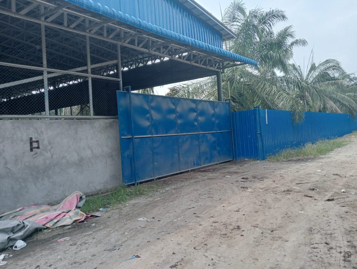 Pabrik Pengolahan Kotoran Sapi Menjadi Pupuk di Secanggang Diduga Belum Jelas Legalitasnya.