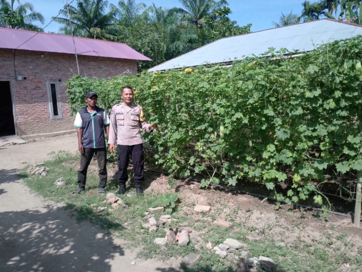 Bhabinkamtibmas Polsek Secanggang Dukung Warga Manfaatkan Pekarangan untuk Ketahanan Pangan.