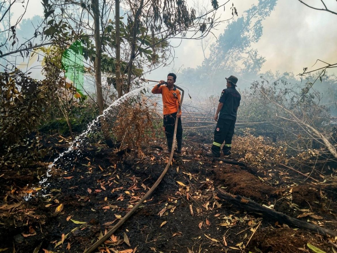 Karhutla Meluas di Langkai Permai, Polsek Pahandut Bersama Tim Gabungan Lakukan Pemadaman