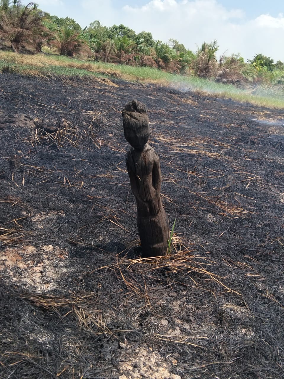 Perlu Mendapat Perhatian Serius Dari Instansi Pemerintah, Sepundu Yang Masih Tersisa Masih Teronggok Di Lahan Warga Bekas Kebakaran Lahan 