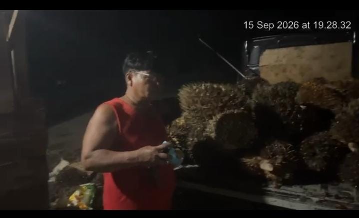 BUAH SAWIIT WARGA DITOLAK PT PERKASA SAWIT PERMAI, WARGA DESA HAJAK DAN SIKULI KELUHKAN KETIDAKJELASAN KRITERIA