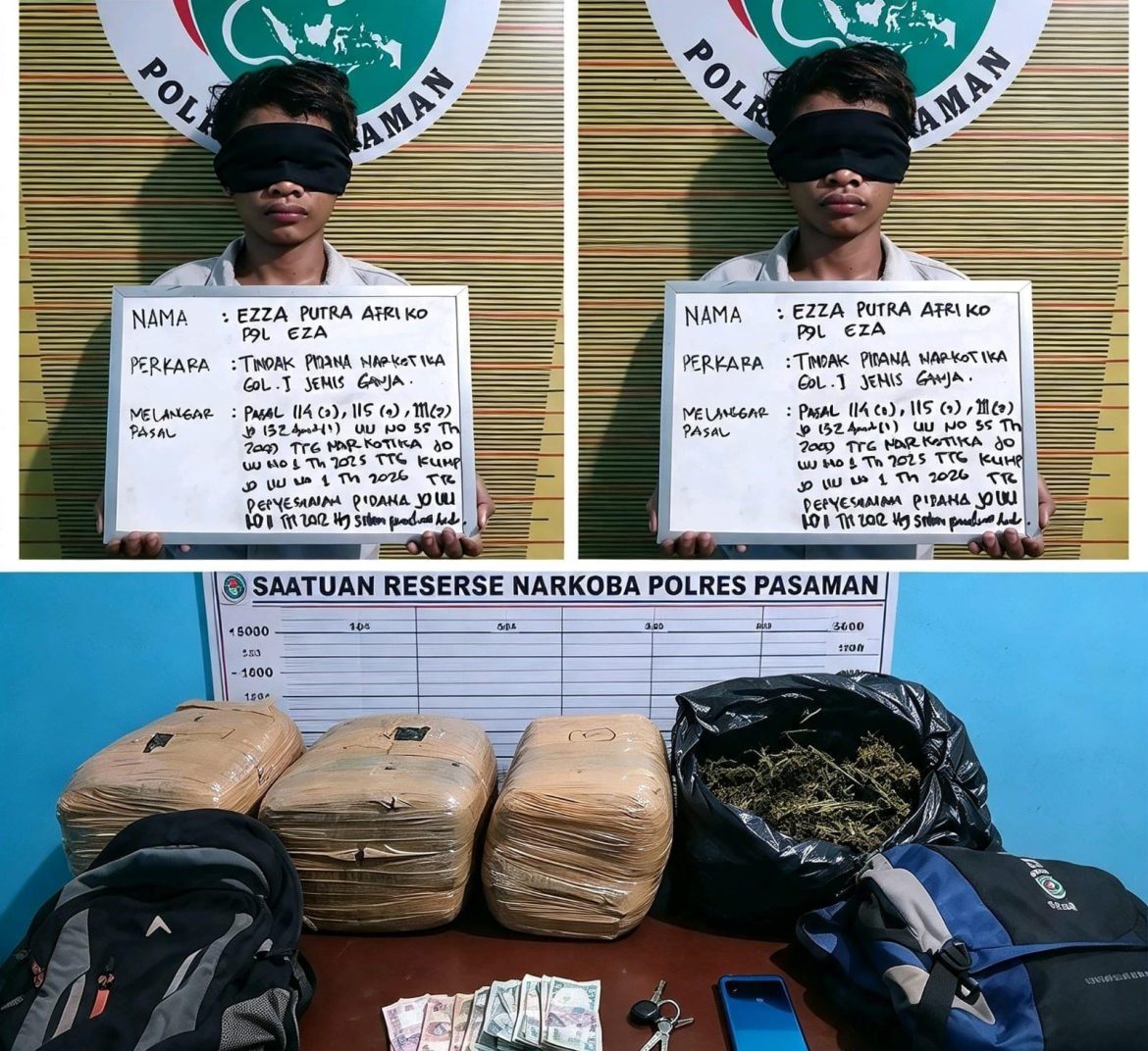 Polsek Bonjol Amankan Dua Kurir Ganja, Salah Satunya Anak di Bawah Umur — 23 Kg Barang Bukti Disita