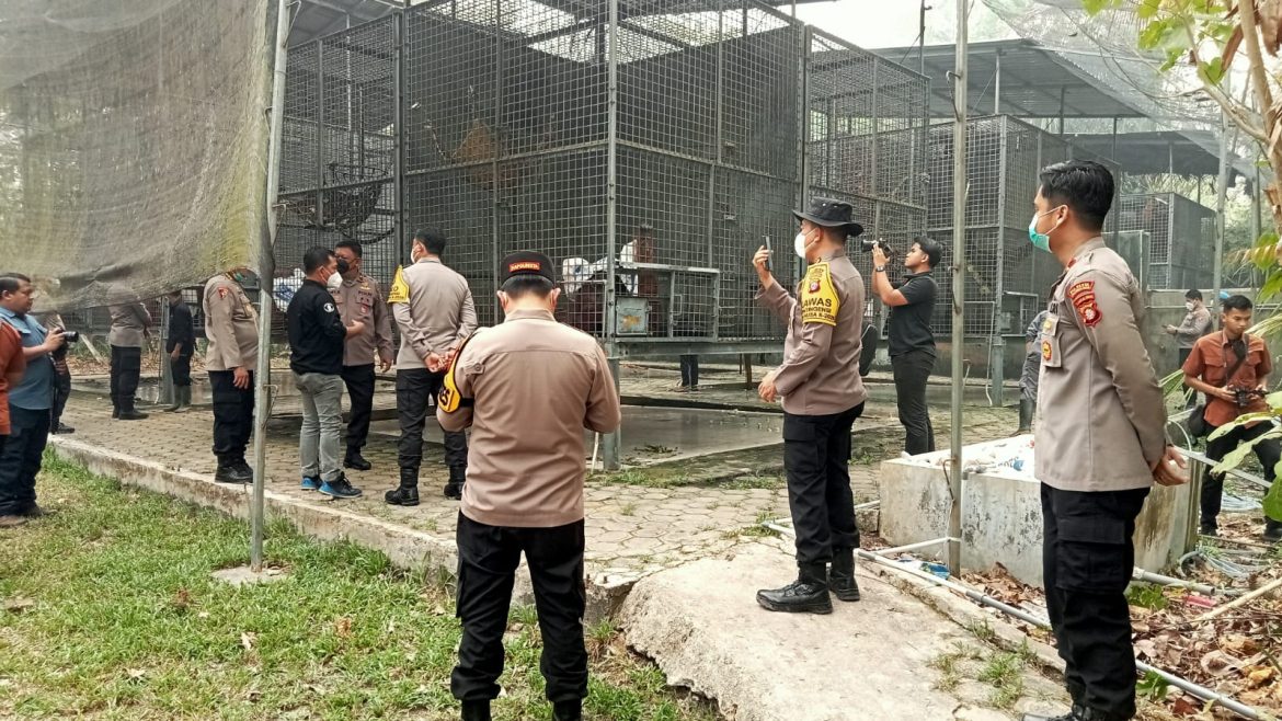 Dampingi Kunjungan Pejabat Polri, Kapolsek Bukit Batu Sambangi BOSF Nyaru Menteng