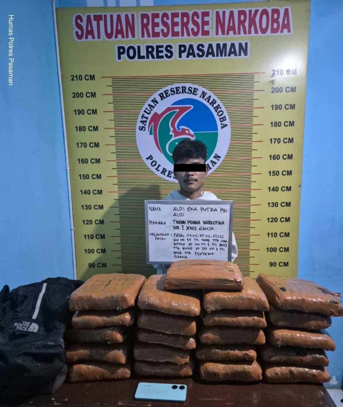 Tim Elang Timur Polres Pasaman Amankan 21 Paket Besar Ganja, Satu Terduga Kurir Ditangkap