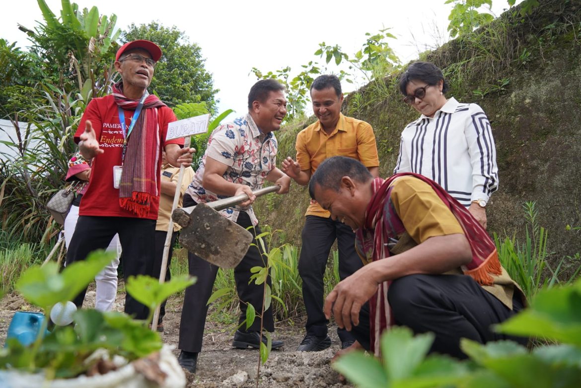 Pameran Tanaman Endemik Toba Dorong Pelestarian dan Ekonomi Kreatif